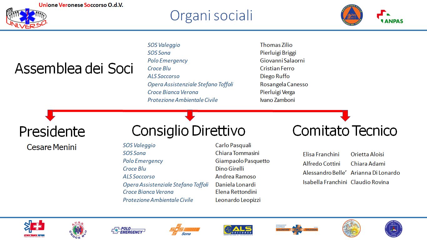 Organigramma